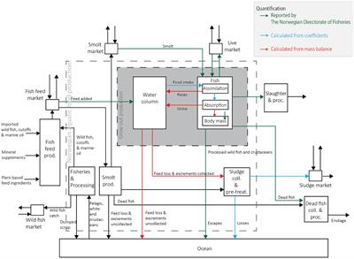 Circular economy for aquatic food systems: insights from a multiscale phosphorus flow analysis in Norway